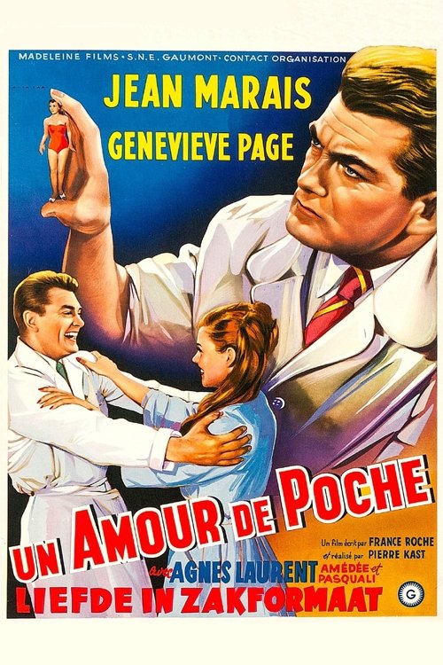 Affiche Amour de poche