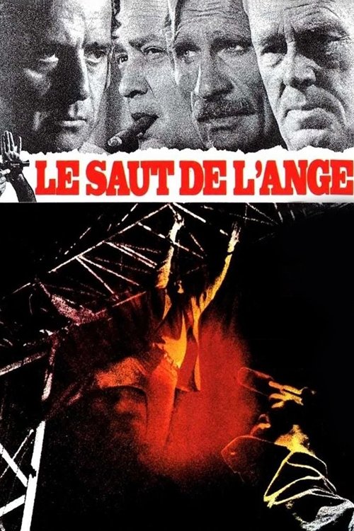 Affiche Le saut de l'ange