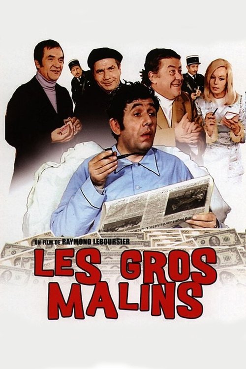 Affiche Les Gros Malins