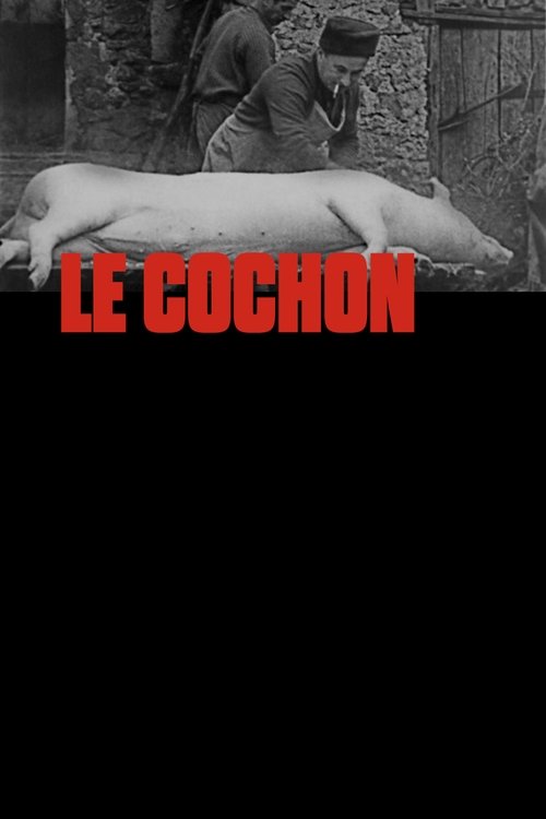 Affiche Le Cochon