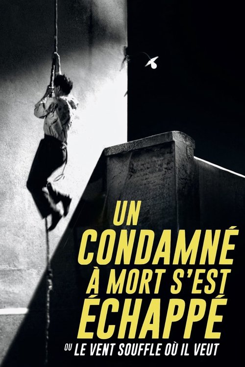 Affiche Un condamné à mort s'est échappé