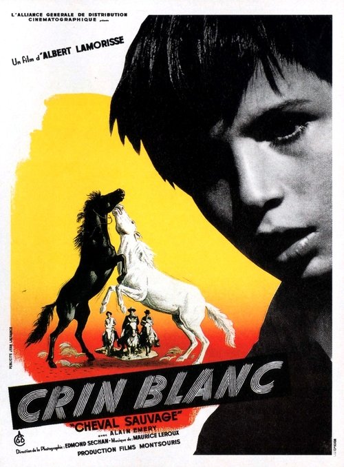 Affiche Crin blanc: Le cheval sauvage