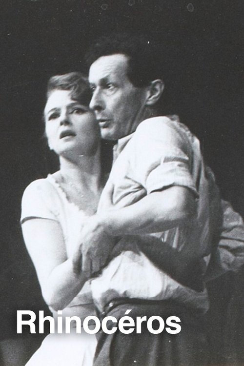 Affiche Rhinocéros