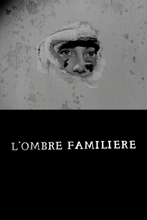 Affiche L'Ombre familière