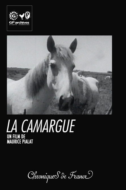 Affiche La Camargue