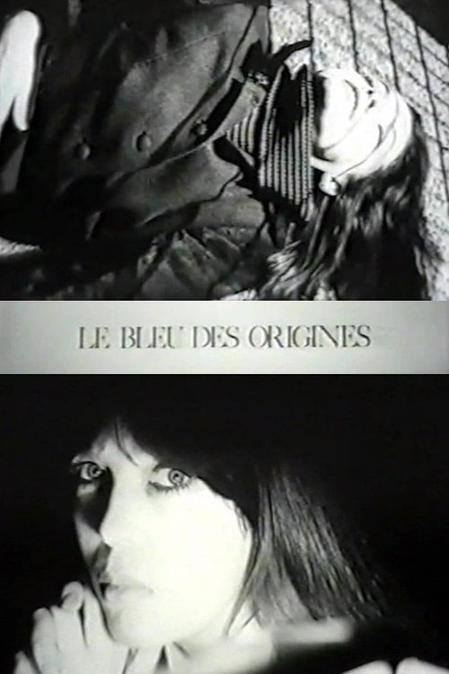 Affiche Le Bleu des origines