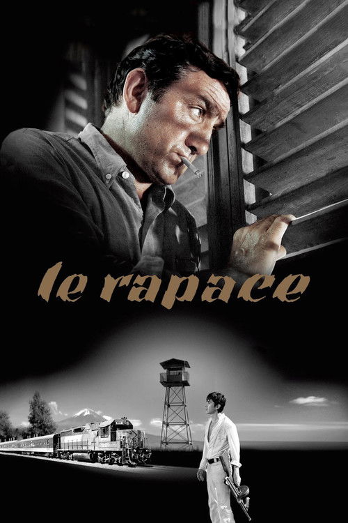 Affiche Le Rapace
