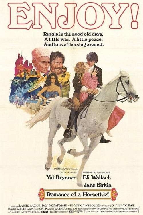 Affiche Le Roman d'un voleur de chevaux