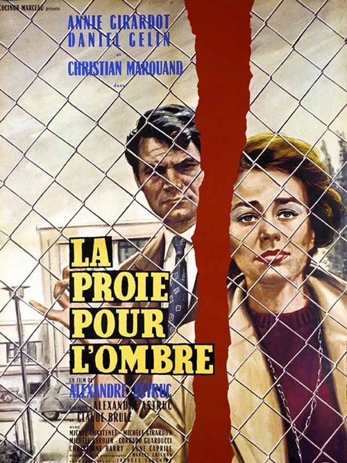 Affiche La Proie pour l'ombre