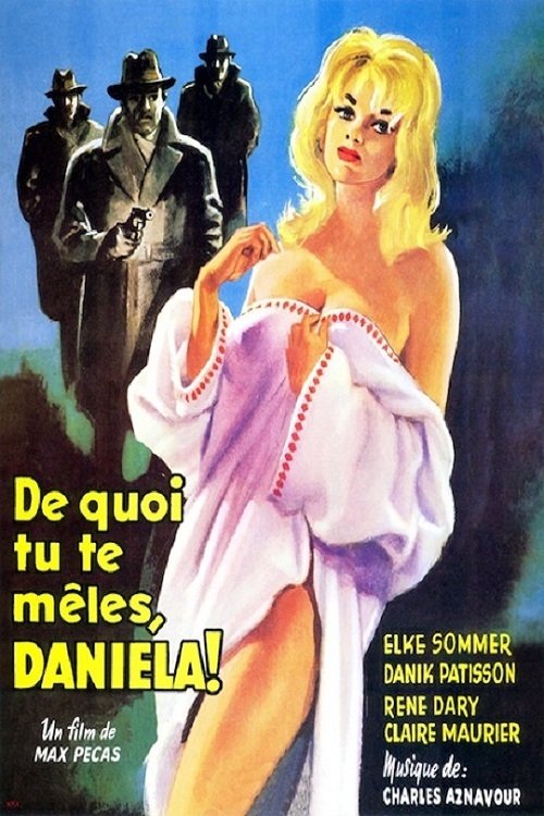 Affiche De quoi tu te mêles Daniela !