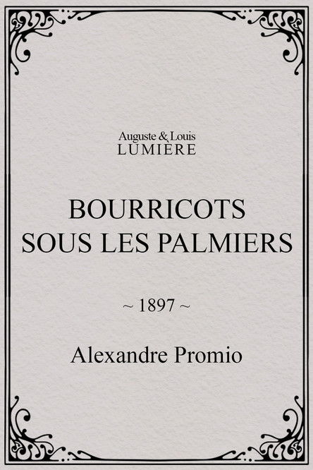 Affiche Bourricots sous les palmiers