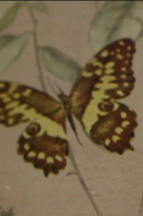 Affiche Monsieur M, 1968