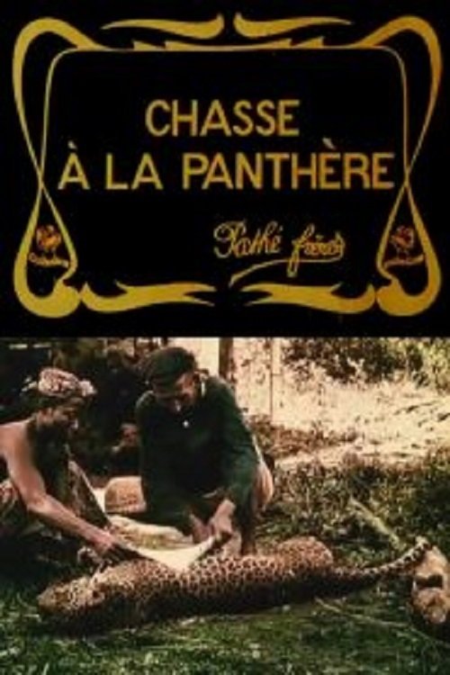 Affiche Chasse à la panthère