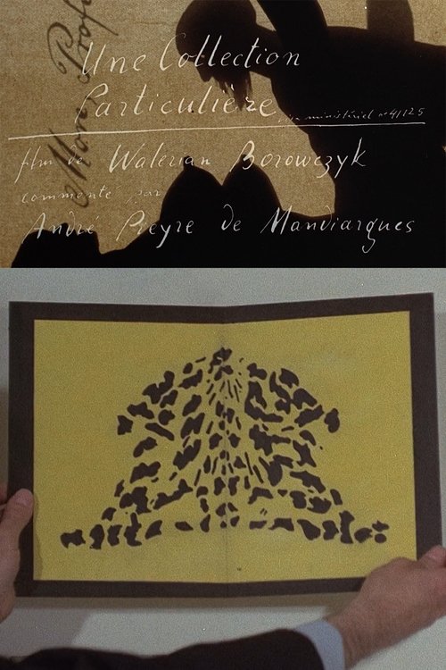 Affiche Une collection particulière