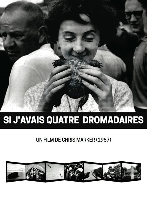 Affiche Si j'avais quatre dromadaires
