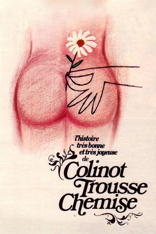 Affiche L'histoire très bonne et très joyeuse de Colinot Trousse-Chemise