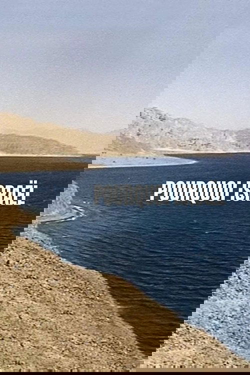 Affiche Pourquoi Israël