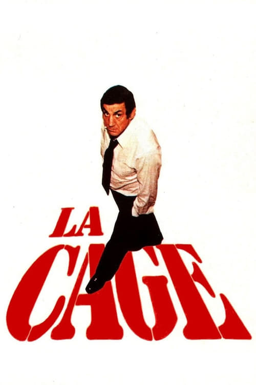 Affiche La Cage