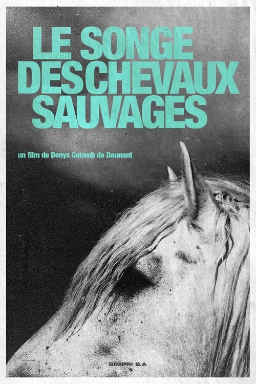 Affiche Le Songe Des Chevaux Sauvages