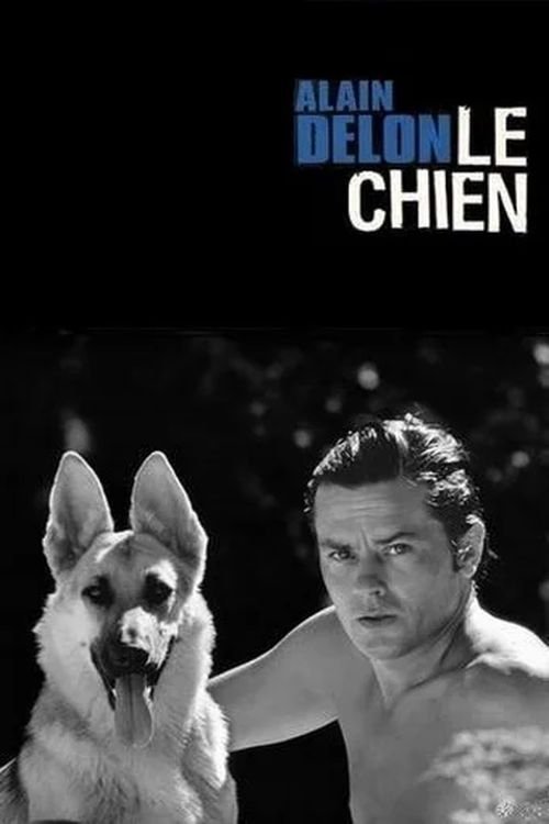 Affiche Le Chien