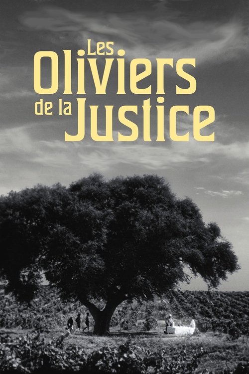 Affiche Les Oliviers de la justice