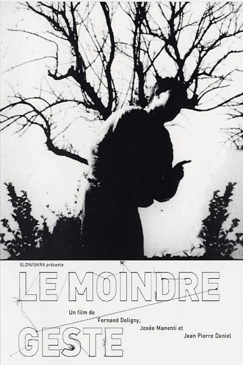 Affiche Le moindre geste