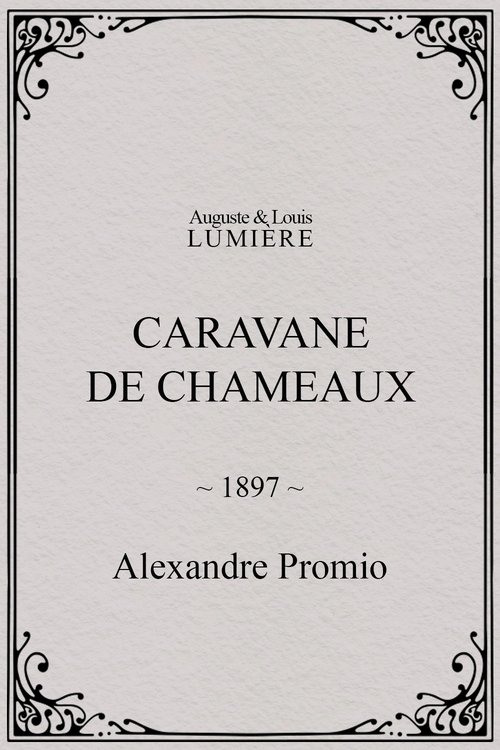 Affiche Caravane de chameaux