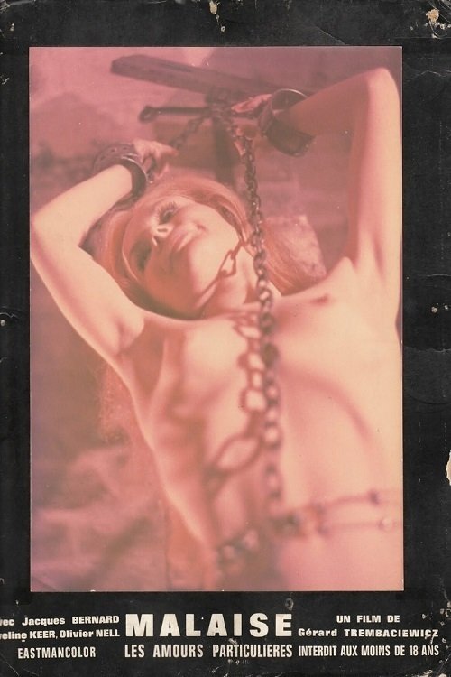 Affiche Les amours particulières