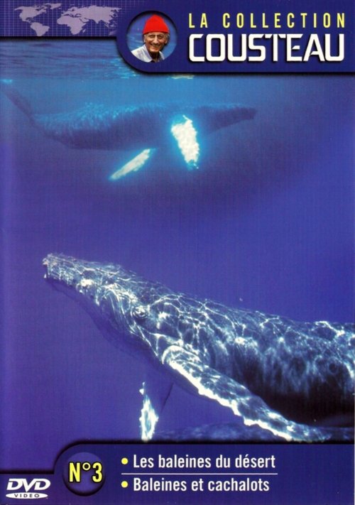 Affiche La collection Cousteau N°3 | Les baleines du désert | Baleines et cachalots