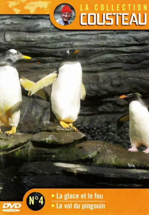 Affiche La collection Cousteau N°4 | La glace et le feu | Le vol du Pingouin