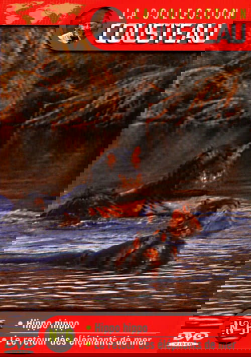 Affiche La collection Cousteau N°6 | Hippo, Hippo | Le retour des éléphants de mer