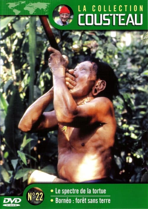 Affiche La collection Cousteau N°22 | Le spectre de la tortue | Bornéo : forêt sans terre