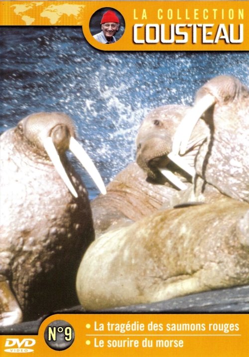 Affiche La collection Cousteau N°9 | La tragédie des saumons rouges | Le sourire du Morse