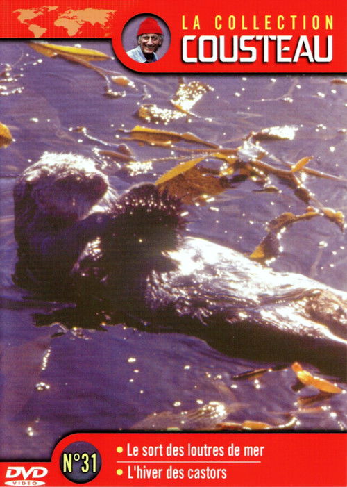 Affiche La collection Cousteau N°31 | Le sort des Loutres de mer | L'hiver des castor