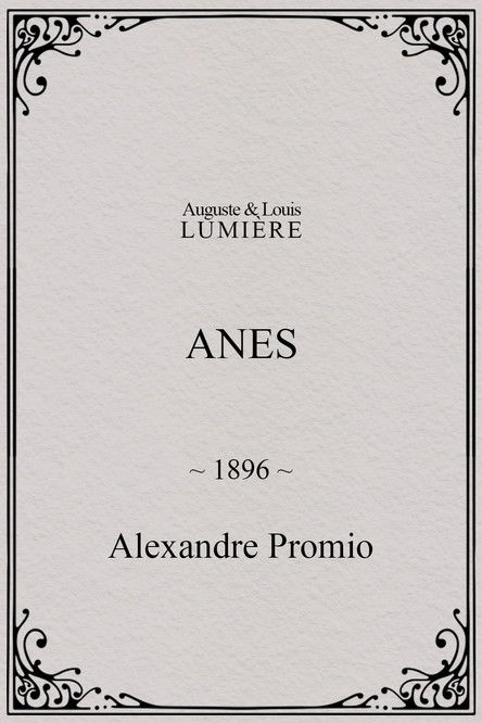 Affiche Anes