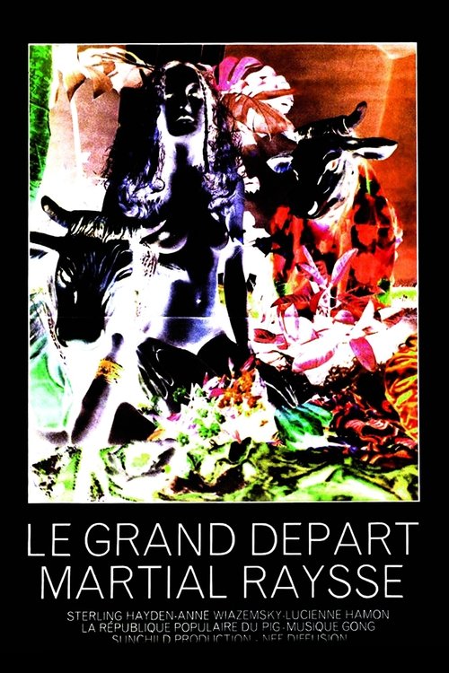 Affiche Le Grand Départ