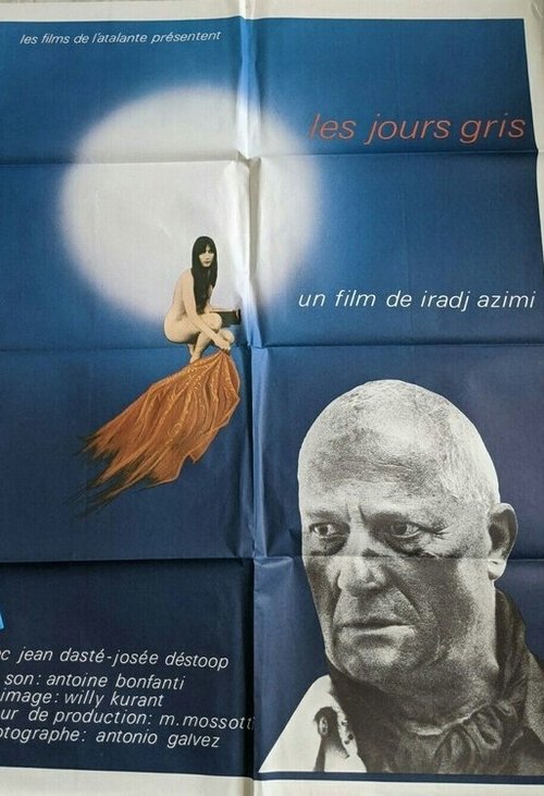 Affiche Les jours gris