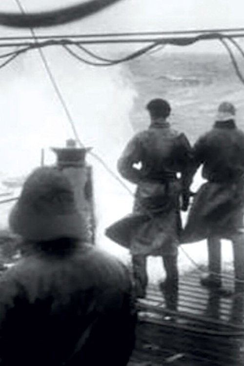 Affiche Racleurs d’océans