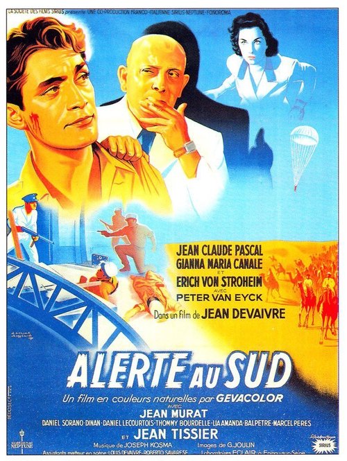 Affiche Alerte au Sud