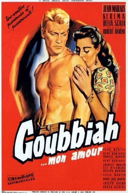 Affiche Goubbiah, mon amour