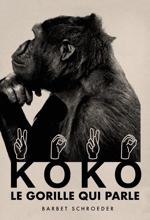 Affiche Koko, le gorille qui parle