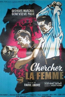 Affiche Cherchez la femme