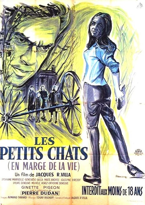 Affiche Les Petits Chats
