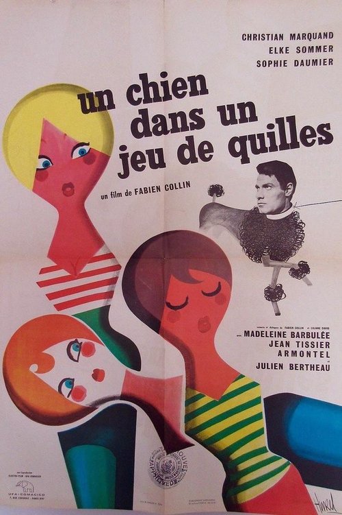 Affiche Un chien dans un jeu de quilles