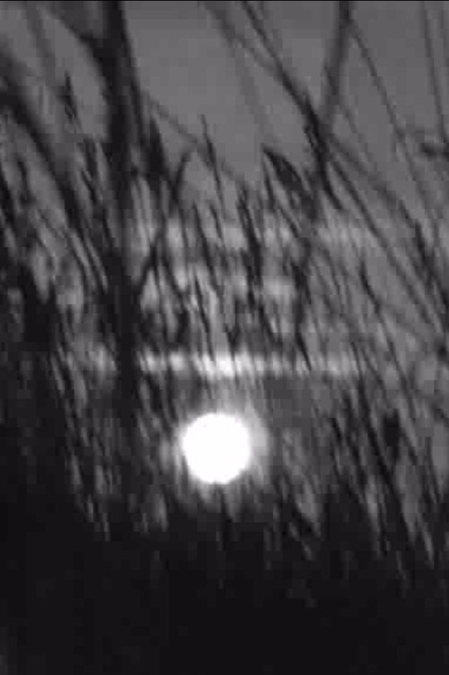 Affiche Bugey pour mémoire