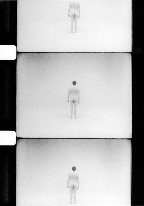 Affiche L’homme nu