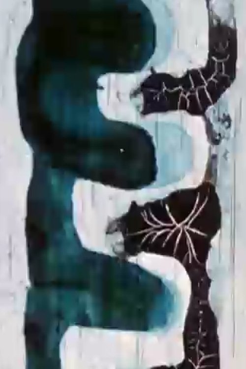 Affiche Impressions des Andes