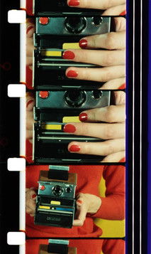 Affiche Forget Me Not