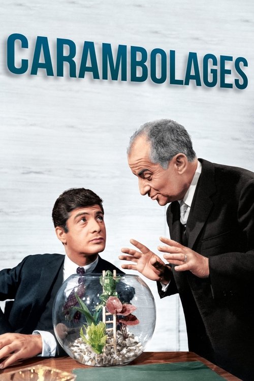 Affiche Carambolages