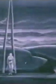 Affiche Oiseau de nuit